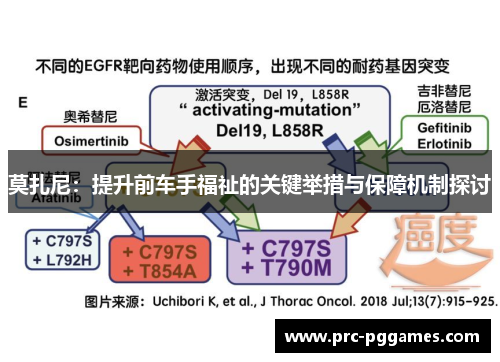 莫扎尼:提升前车手福祉的关键举措与保障机制探讨 莫扎尼:提升前车手福祉的关键举措与保障机制探讨