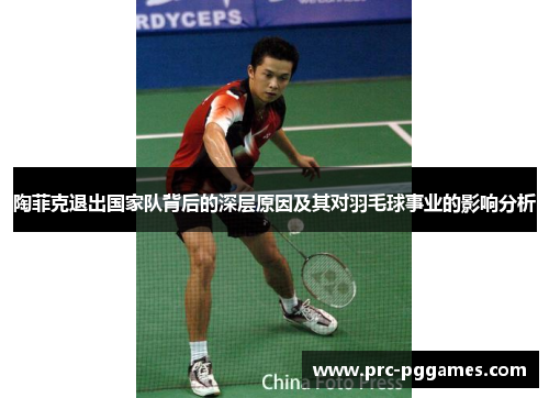 陶菲克退出国家队背后的深层原因及其对羽毛球事业的影响分析