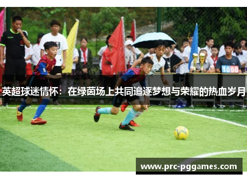 英超球迷情怀：在绿茵场上共同追逐梦想与荣耀的热血岁月